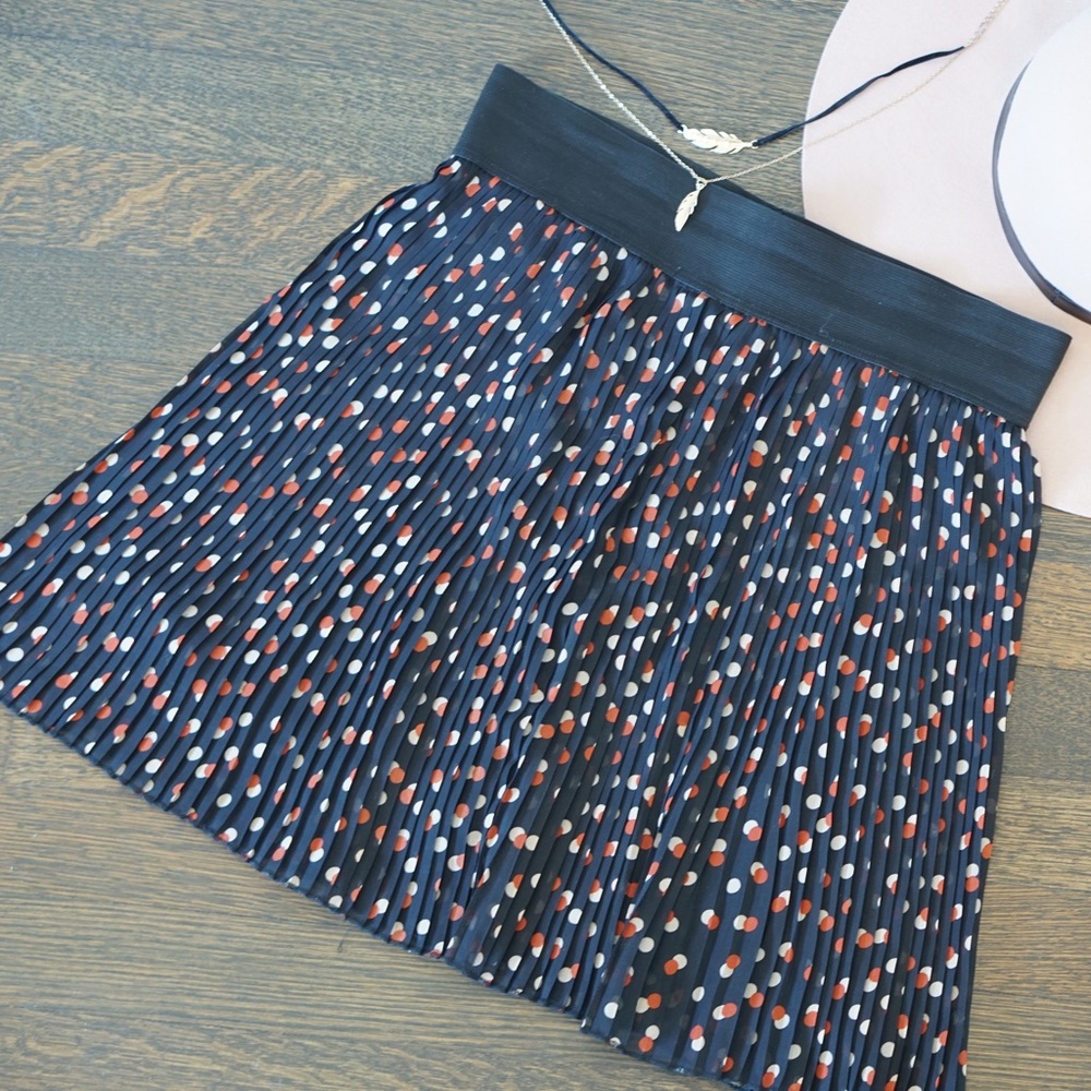 Pleated Skater Skirt